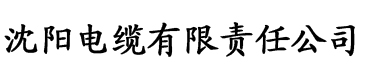 bd香蕉视频国产电缆厂logo